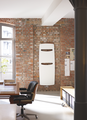  Zehnder Vitalo Spa Decorative radiator Front view