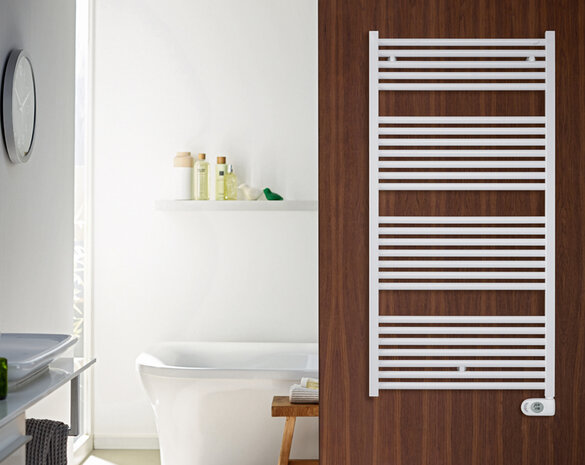 Rendering Zehnder Zeno Decorative radiator 