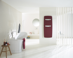 Zehnder_RAD_Vitalo-Spa_amethyst_bathroom Rendering Zehnder Vitalo Spa Decorative radiator Front view