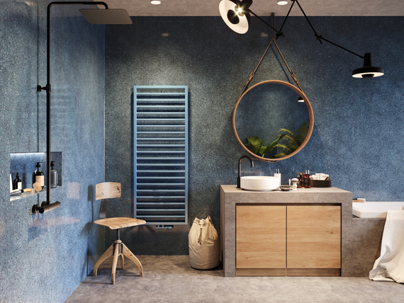 bathroom with zehnder subway