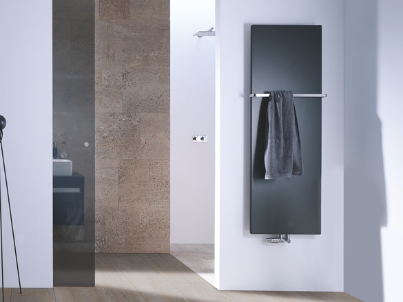 Rendering Zehnder Fina Lean Bar Decorative radiator 