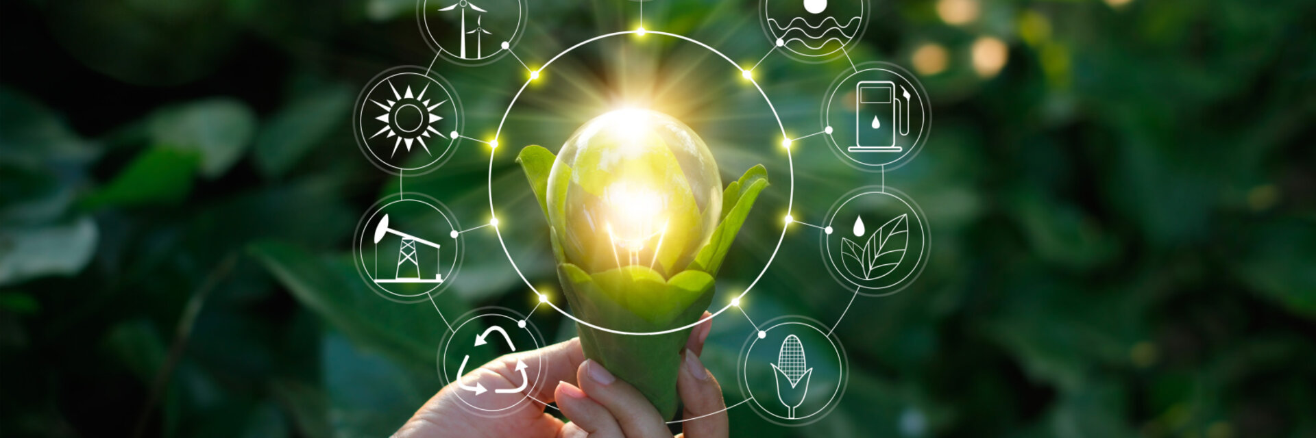 Hand holding light bulb against nature on green leaf with icons energy sources for renewable, sustainable development. Ecology concept. Elements of this image furnished by NASA.